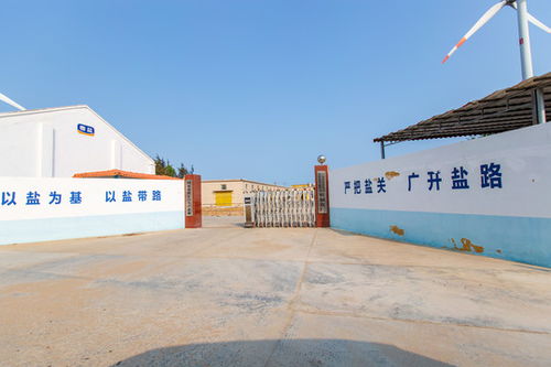 遼寧盤錦遼河經(jīng)典啤酒,酒水飲料,食品餐飲,攝影素材,匯圖網(wǎng)